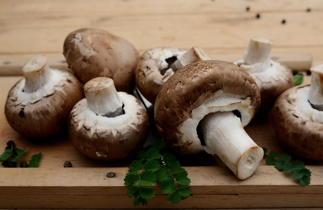 Mushrooms, edible mushrooms, vegetarian — Buy TRT for Sale Online Trusted and Effective Solutions